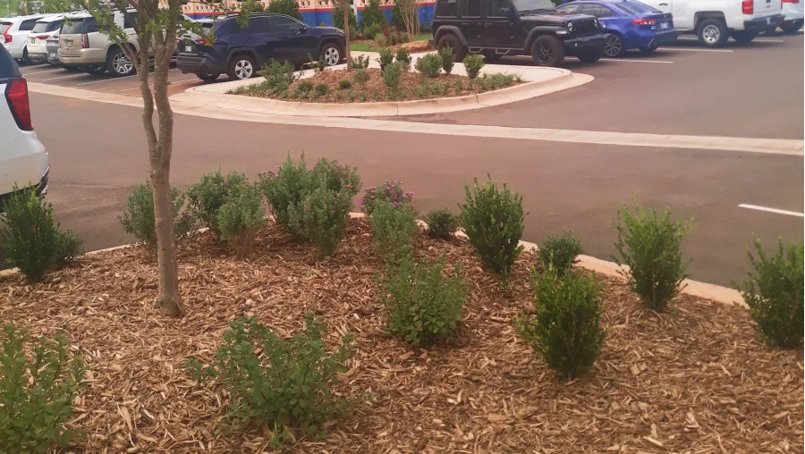 commercial lawn care service